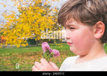 Kind, Junge, die während der Herbstsaison im Garten nach Kleeblüten riechen. Das Kind hat eine lustige Zeit im Freien. Kinder Neugierde. Platz für Text kopieren. Stockfoto