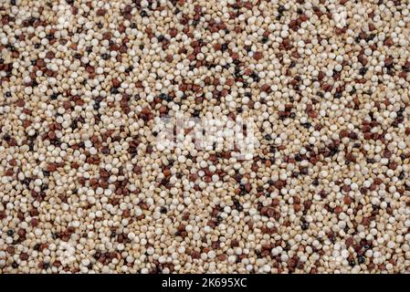 Gemischter Makrohintergrund für Quinoa-Seeds im Vollformat Stockfoto
