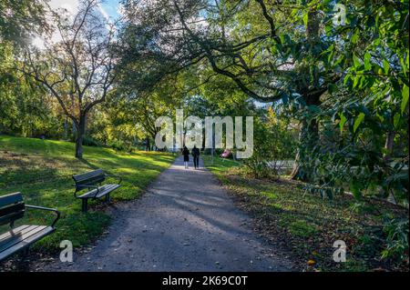 Im Herbst wandern im Stadtpark Åbackarna entlang des Motala-Flusses in Norrköping, Schweden, nicht erkennbare Menschen. Stockfoto