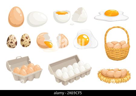Cartoon-Eier in Korb, Tablett, Nest und Box, Huhn und Wachtel Eier, Vektor. Eier in Hühnernest und Weidenkorb oder in Kartonverpackung, gekochtes und gebratenes Omelett, Geflügelfutter Stock Vektor