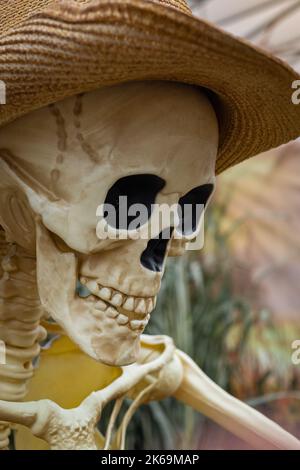 Skelett im Hut im Freien. Halloween-Feier. Steampunk lächelnder Totenkopf mit Vintage-Hut. Selektiver Fokus, niemand. Feiertage. Stockfoto