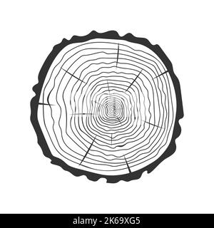 Stempel mit Baumringen. Stamm Querschnitt hölzerne Doodle Textur isoliert auf weißem Hintergrund. Dendrochronologie-Methode zur Bestimmung des Baumalters. Vektordarstellung Stock Vektor