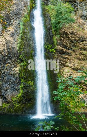 Schachtelhalmfälle in der Columbia River Gorge, Oregon Stockfoto