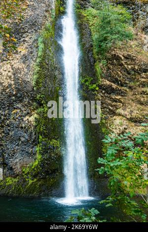 Schachtelhalmfälle in der Columbia River Gorge, Oregon Stockfoto