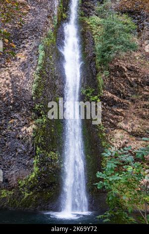 Schachtelhalmfälle in der Columbia River Gorge, Oregon Stockfoto