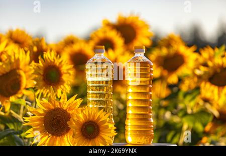 Landwirtschaft Werbekonzept. Verschiedene Arten von Öl in Plastikflaschen unter Sonnenblumenblumen Stockfoto