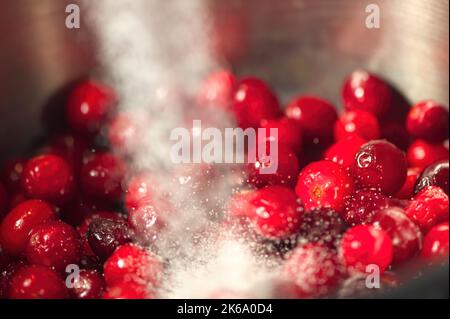 Zucker wird über Preiselbeeren in einem Edelstahltopf gegossen. Stockfoto