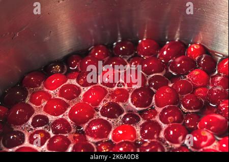 Cranberries kochen auf einem Kochfeld in einem Edelstahltopf und machen hausgemachte Cranberry-Sauce. Stockfoto