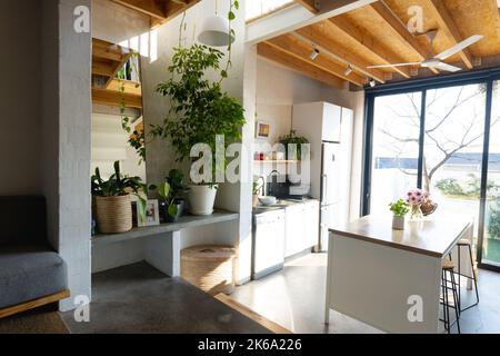Allgemeiner Blick auf moderne Küche mit Arbeitsfläche, Küchenausstattung und Fenster Stockfoto