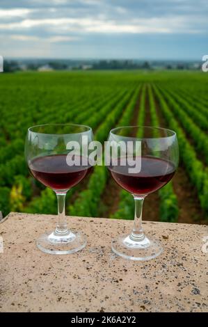 Verkostung von rotem, trockenem Pinot Noir in Gläsern auf erstklassigen und Grand Cru-Weinbergen in der Weinbauregion Burgund in der Nähe des Dorfes Vosne-Romanée, Frankreich Stockfoto