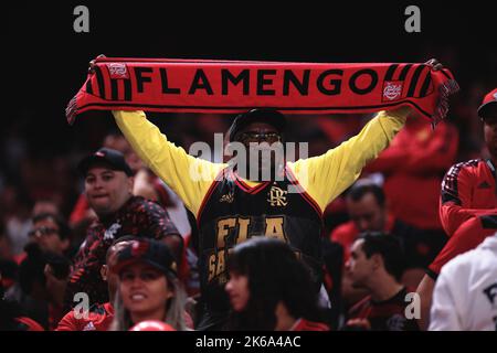 Sao Paulo, Brasilien. 12. Oktober 2022. SP - Sao Paulo - 10/12/2022 - COPA DO BRASIL 2022 FINALE, CORINTHIANS X FLAMENGO - Flamengo Fans während eines Spiels gegen Corinthians im Arena Corinthians Stadion für die Copa do Brasil 2022 Meisterschaft. Foto: Ettore Chiereguini/AGIF/Sipa USA Quelle: SIPA USA/Alamy Live News Stockfoto