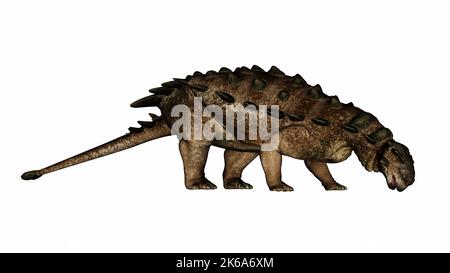 Pinacosaurus Dinosaurier essen oder trinken, isoliert auf weißem Hintergrund. Stockfoto
