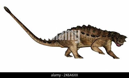 Der Dinosaurier Pinacosaurus schaut nach rechts, isoliert auf weißem Hintergrund. Stockfoto