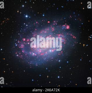 NGC 300, Spiralgalaxie in Bildhauer. Stockfoto