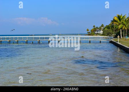 Palmengehülltes Winterküstenhaus am Wasser von Charlotte Harbor mit Dock und Pier in der Nähe von Bokeelia auf Pine Island, FL vor Hurrikan Ian Stockfoto