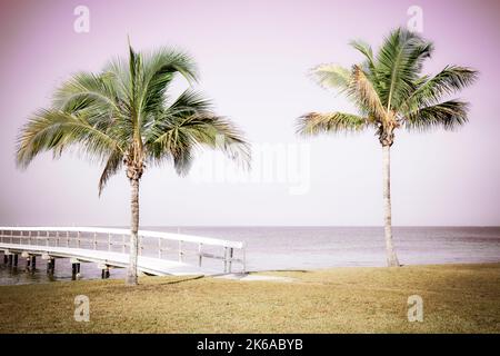 Ein ruhiger Panoramablick über den Hafen von Charlotte von einem einfachen hölzernen Pier und Palmen in Bokeelia, Florida, auf Pine Island, der Quintessenz von Old Flo Stockfoto