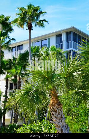 Ein moderner Wohnkomplex, umhüllt von Palmen und Küstenvegetation am Peace River, in Punta Gorda, Florida, einem Zufluchtsort für den Ruhestand. Stockfoto