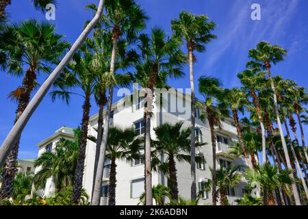 Ein moderner Wohnkomplex, umhüllt von Palmen und Küstenvegetation am Peace River, in Punta Gorda, Florida, einem Zufluchtsort für den Ruhestand. Stockfoto