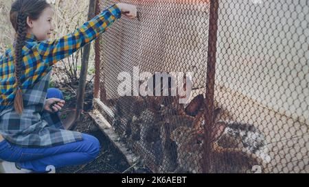 Aufgeregt kleines Mädchen in Schürze füttert niedlichen Käfig Kaninchen mit Gras auf dem Bauernhof, beobachten sie essen und lachen. Glückliche Kindheit, Haustiere und Naturkonzept. Stockfoto