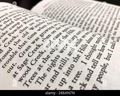 Eine Leseseite Buch Licht Literatur Text gemütlich entspannend Lernen Wörter Hintergrund verschwommene Seiten Hintergrund Stockfoto