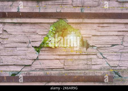 Umweltkonzept. Im Betonzaun befindet sich ein dreieckiges Loch, hinter dem sich ein grüner Garten befindet. Stockfoto