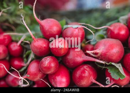 Frisches Bio-Rettichgemüse zum Verkauf auf dem französischen Bauernmarkt Stockfoto