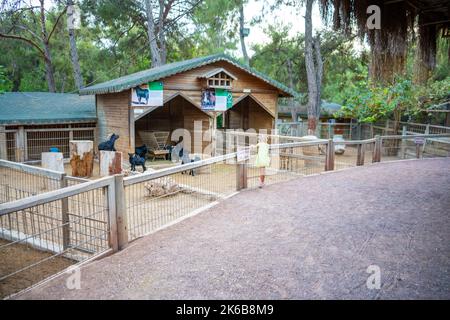Antalya, Türkei - 23. September 2022: Tiere im kleinen Zoo in Antalya, Türkei Stockfoto