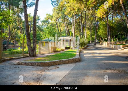 Tiere im kleinen Zoo in Antalya, Türkei Stockfoto