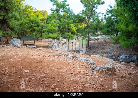 Tiere im kleinen Zoo in Antalya, Türkei Stockfoto