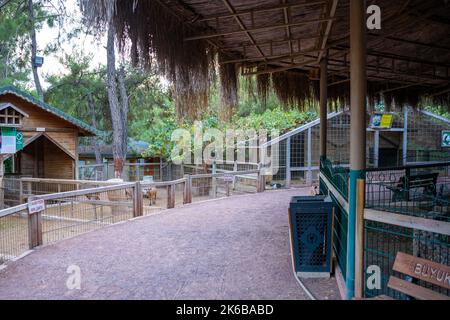 Antalya, Türkei - 23. September 2022: Tiere im kleinen Zoo in Antalya, Türkei Stockfoto