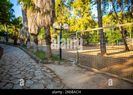Tiere im kleinen Zoo in Antalya, Türkei Stockfoto
