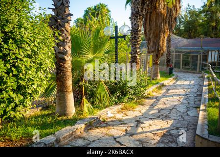 Tiere im kleinen Zoo in Antalya, Türkei Stockfoto