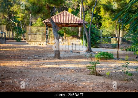 Tiere im kleinen Zoo in Antalya, Türkei Stockfoto