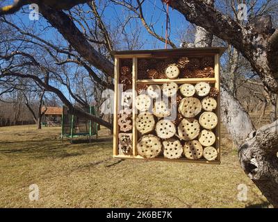 Insektenhotel im Freien, das an einem Ast hängt Stockfoto