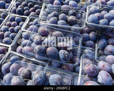 Kisten mit Pflaumen auf einem Marktstand Stockfoto