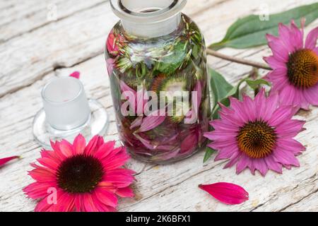 Sonnenhut-Tinktur, Sonnenhut, Tinktur, Tinkturen, alkoholischer Auszug aus Blüten und Blättern, Sonnenhut-Kraut, Igelkopf, Echinacea spec., Rudbeckia Stockfoto