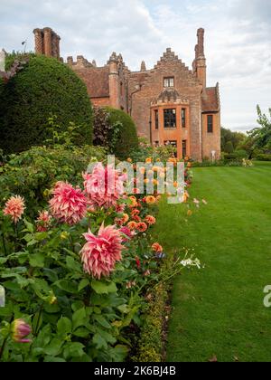 Chenies Manor und Garten umgeben von bunten Dahlien im Oktober. Dahlia 'Islander' im Vordergrund mit rotem, orangefarbenem Rand im langen krautigen Rand. Stockfoto