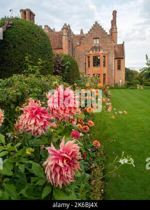Chenies Manor und Garten umgeben von bunten Dahlien im Oktober. Dahlia 'Islander' im Vordergrund mit rotem, orangefarbenem Rand im langen krautigen Rand. Stockfoto