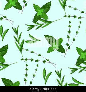 Nahtloses Muster mit Kräuterminze, Thymian, Stevia-Illustration auf hellblauem Hintergrund Stock Vektor