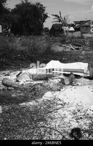 Monochrom-Foto, Trümmer von Stamm und Zweige von einem gefällten Baum, Cikancung - Indonesien Stockfoto