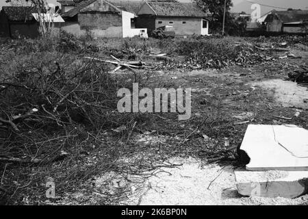 Monochrom-Foto, Trümmer von Stamm und Zweige von einem gefällten Baum, Cikancung - Indonesien Stockfoto