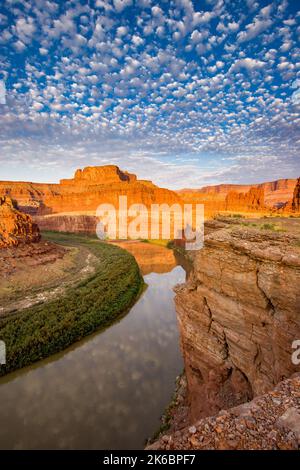 Sonnenaufgang über dem Goose Neck des Colorado River im Meander Canyon. Moab, Utah. Bears Ears National Monument mit dem Canyonlands National Park dahinter. Stockfoto