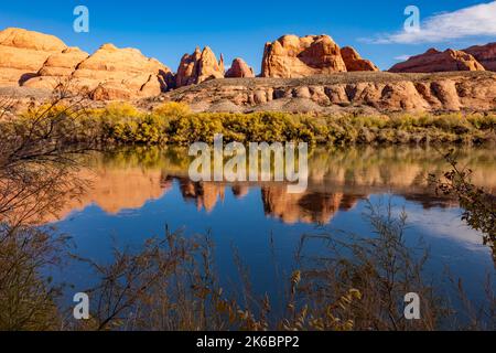 Navajo-Sandsteinformationen spiegeln sich im Colorado River in der Nähe von Moab, Utah, wider. Stockfoto