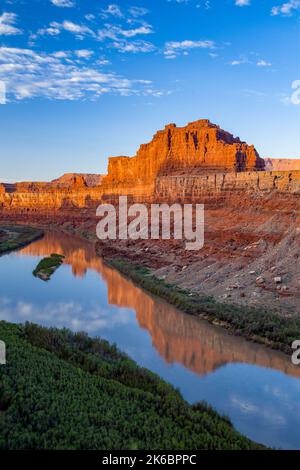 Moenkopi Sandstein butte spiegelt sich im Colorado River am Goose Neck im Meander Canyon bei Sonnenaufgang, in der Nähe von Moab, Utah. Bären Ohren National Monumen Stockfoto