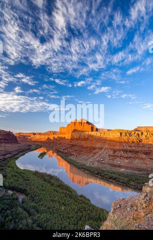 Moenkopi Sandstein butte spiegelt sich im Colorado River am Goose Neck im Meander Canyon bei Sonnenaufgang, in der Nähe von Moab, Utah. Bären Ohren National Monumen Stockfoto