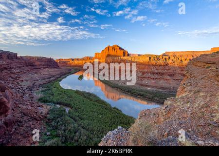 Moenkopi Sandstein butte spiegelt sich im Colorado River am Goose Neck im Meander Canyon bei Sonnenaufgang, in der Nähe von Moab, Utah. Bären Ohren National Monumen Stockfoto