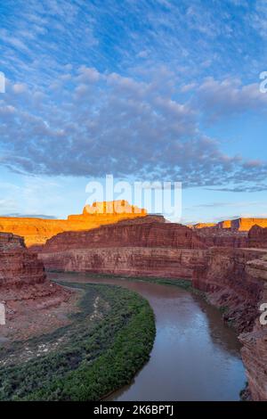 Sonnenaufgang über dem Goose Neck des Colorado River im Meander Canyon. Moab, Utah. Bears Ears National Monument mit dem Canyonlands National Park dahinter. Stockfoto