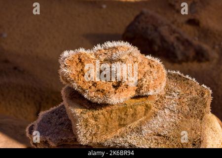 Im Winter auf einem Sandsteinfelsen entlang eines Pfades im Horseshoe Canyon Reif-Kristalle. Canyonlands National Park, Utah. Stockfoto