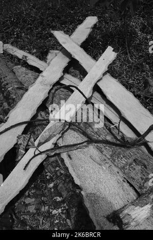 Monochrom-Foto, Trümmer von Stamm und Zweige von einem gefällten Baum, Cikancung - Indonesien Stockfoto