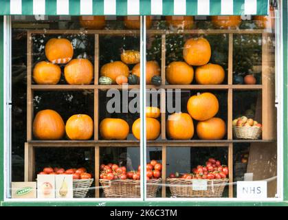 Schaufensterauslage von Halloween-Kürbissen in Two Peas in a Pod, einem Gemüsehändler-Eckgeschäft in Barnes, Südwest-London, England, Großbritannien Stockfoto